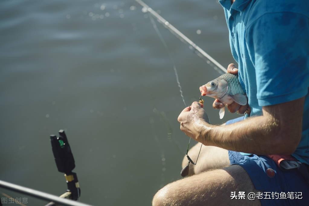 钓浮调漂正确方法，大师见了都要夸你水平高