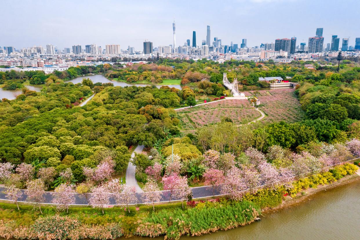 广州大石镇在哪里（​广州有六个山清水秀的美景，适合全家出游）